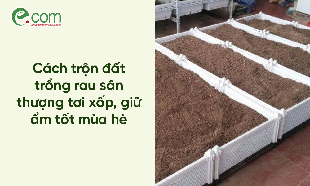Cách Trộn Đất Trồng Rau