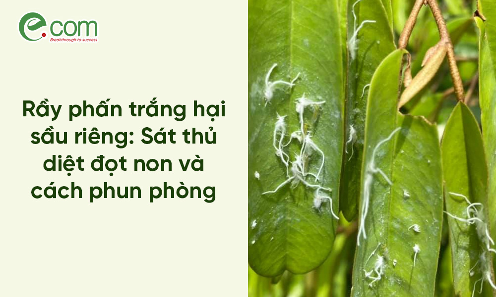 Sát Thủ Diệt Đọt Non