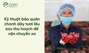 bảo quản chanh dây