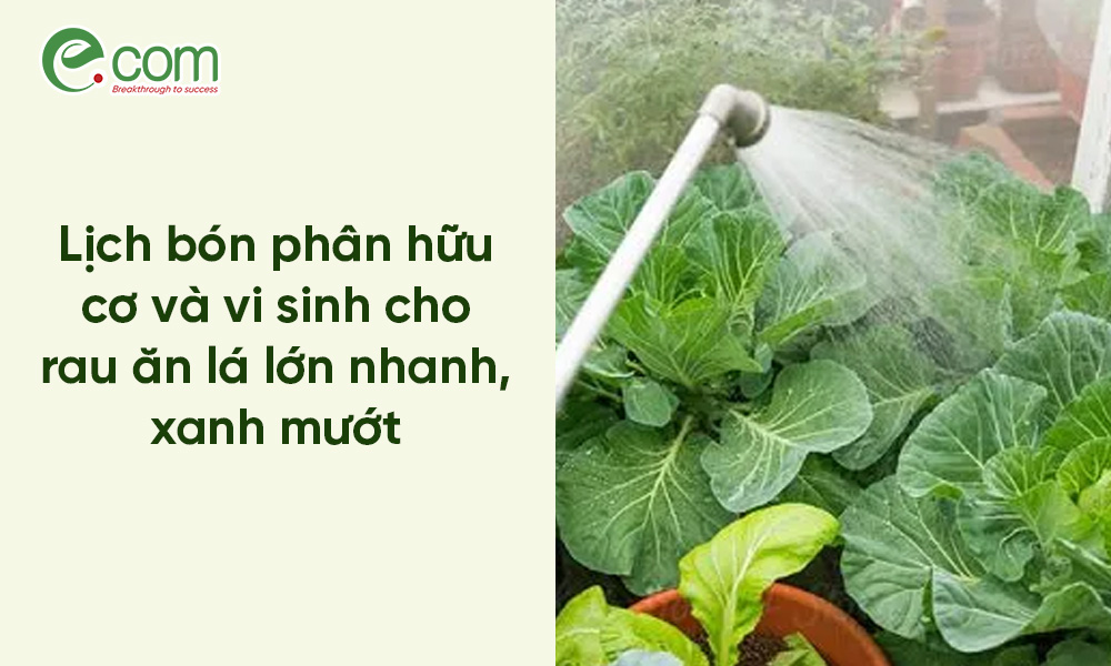 Lịch Bón Phân Hữu Cơ