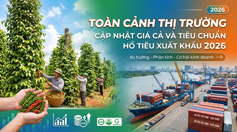 Giá Cả Và Tiêu Chuẩn Hồ Tiêu