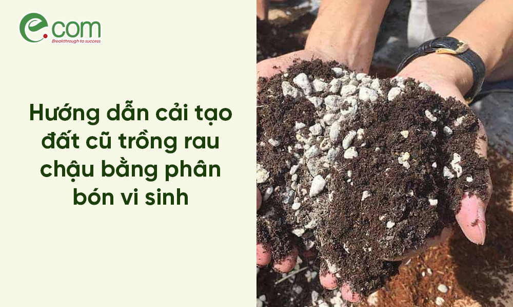 cách xử lý đất
