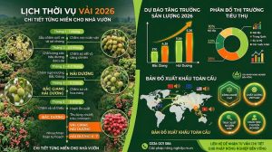 Lịch Thời Vụ Vải