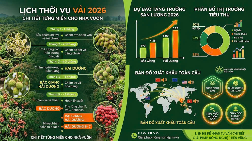 Lịch Thời Vụ Vải