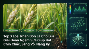 oại Phân Bón Lá Cho Lúa