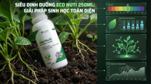 Eco Nuti 250ml