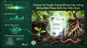 Tuyến Trùng Rễ Hại Cây