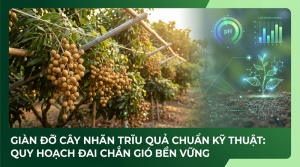 Giàn Đỡ Cây Nhãn