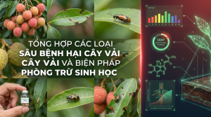 SÂU BỆNH HẠI CÂY VẢI