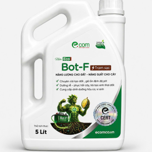 Phân bón hữu cơ vi sinh Bot-F