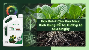 Eco Bot-F Cho Rau Màu