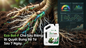 Eco Bot-F Cho Sầu Riêng