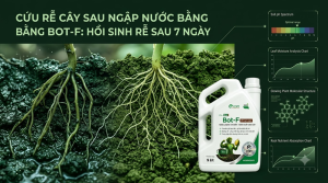Ngập Nước Bằng Bot-F