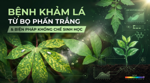 Khảm Lá Từ Bọ Phấn Trắng