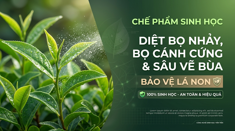 Chế Phẩm Sinh Học Diệt Bọ Nhảy