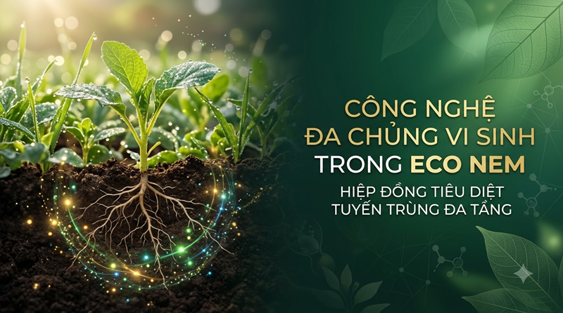 Công Nghệ Đa Chủng Vi Sinh Eco Nem