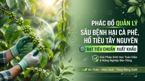 Quản Lý Sâu Bệnh Hại Cà Phê, Hồ Tiêu