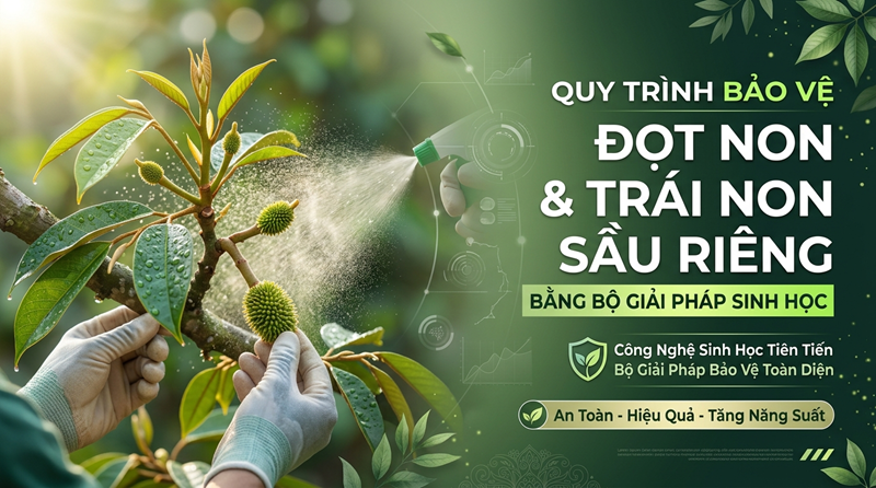 Quy Trình Bảo Vệ Đọt Non