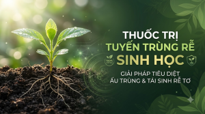 Thuốc Trị Tuyến Trùng Rễ Sinh Học