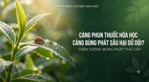 Phun Thuốc Hóa Học
